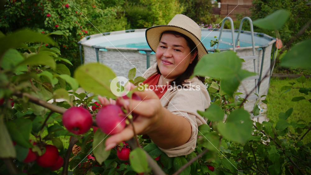 Harvest Time: A Woman Gathers Ripe Red Apples in a Lush Garden Near a Swimming Pool, Embracing the Joy of Nature and Abundance in Late