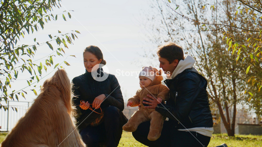 Pleasant Moments in Nature: A Family Enjoys Quality Time with Their Beloved Dog and Baby in a Serene Outdoor Setting Under Clear Blue Skies