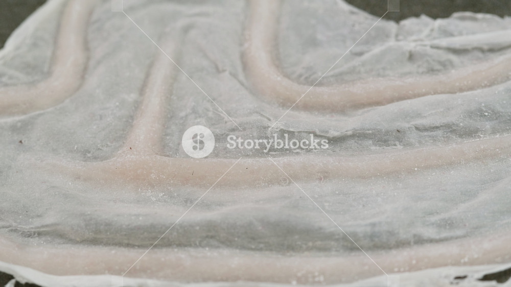 Special effects for cinema industry, A rubber fake finger with blood close-up. Make-up equipment props for films movie and shooting. Bloody
