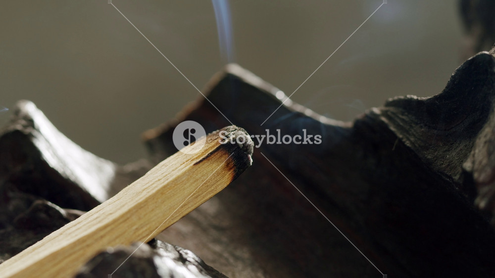 Person holding Palo Santo wood stick in hand, aromatic Palo Santo burning on black background, smoke spreading around, slow motion video