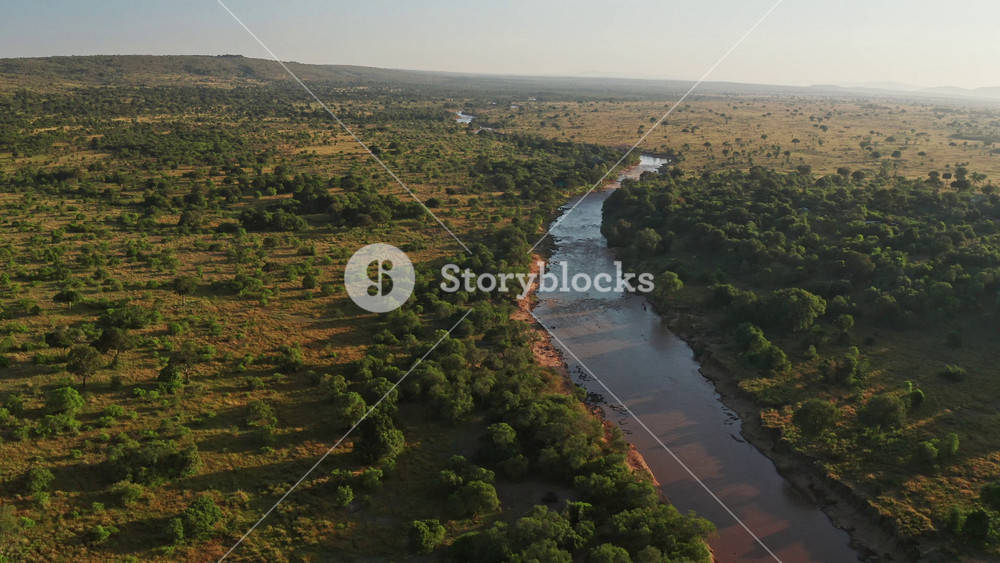 Masai Mara River Aerial drone shot of Landscape in Beautiful Golden Sun Light, Africa Scenery in Maasai Mara National Reserve in Kenya
