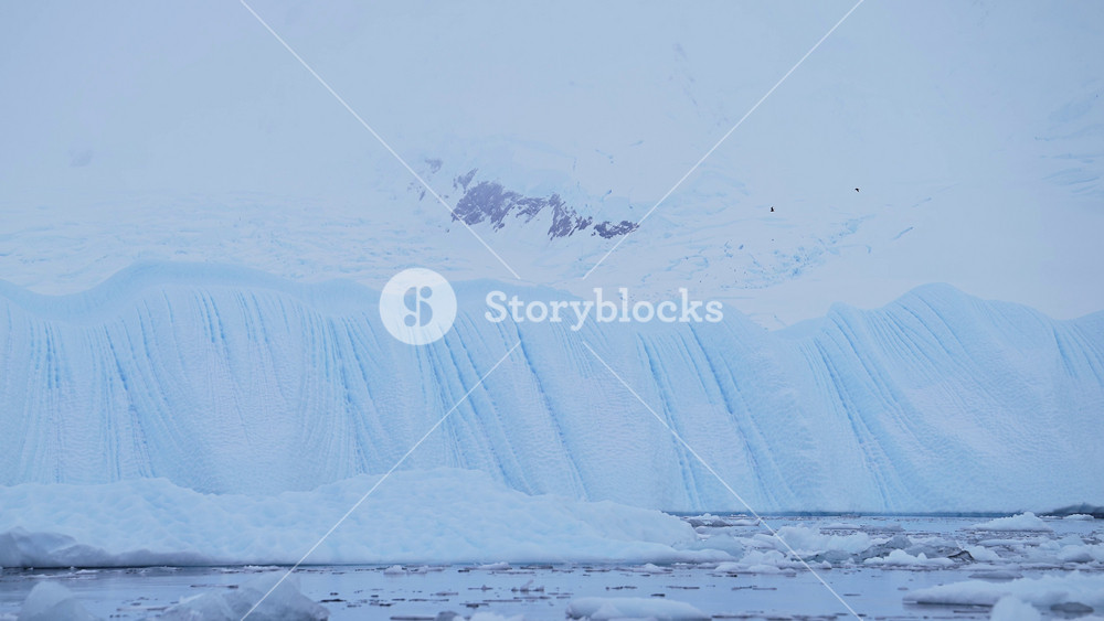 Slow Motion Shot of Birds Flying in Antarctica Landscape, Seabirds in Flight Flying Past Icebergs in Winter Scenery with Amazing Beautiful