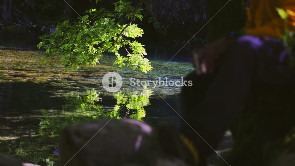 Scenic view of a clean mountain river running through a lush green forest, with beautiful spring foliage framing the tranquil and peaceful scene of untouched nature in a national park