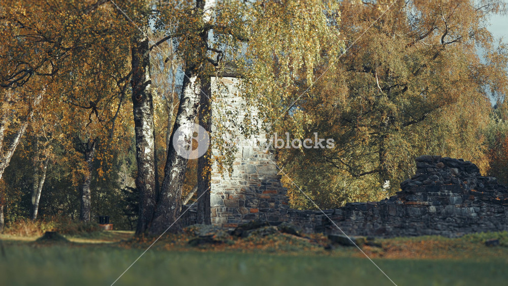 The ruins of a medieval cloister stand amidst the vibrant colors of the autumn landscape captured in the parallax video.