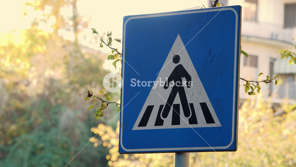 Close-up of a pedestrian crossing road sign with an autumn town landscape in the background. Ensuring traffic safety.