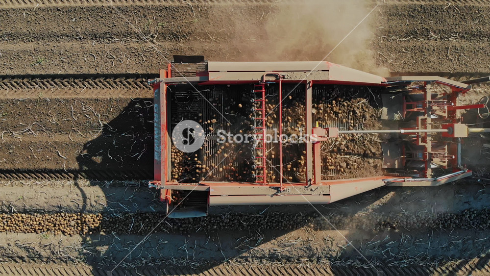 Top view of potato harvester and truck in the field. Logistics and crop collection on an industrial scale of agribusiness.