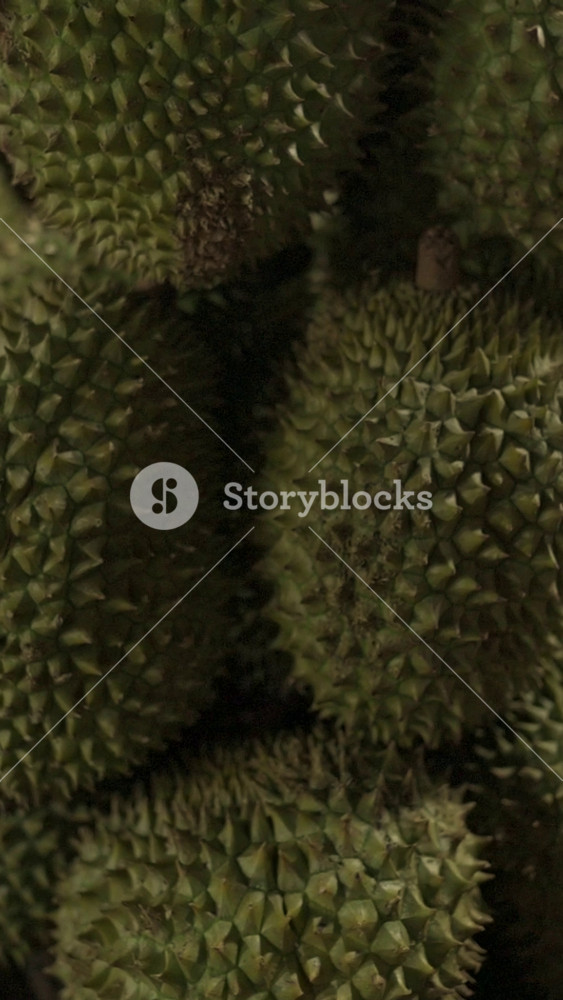 Vertical screen Spiky Durian Heap Emits Pungent Aroma At Vietnamese Street Market, Vendor Stacks Heavy Thorny Fruits, Strong Scent Fills