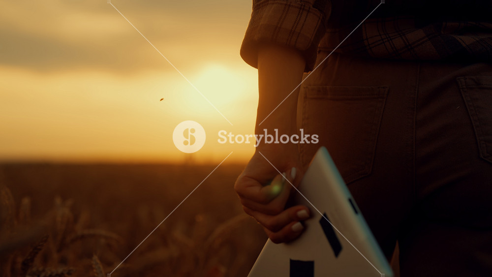 Woman farmer in rye field, closeup view of hand with tablet and slender hip. Cinematic slow motion shot, back view of female figure, lady