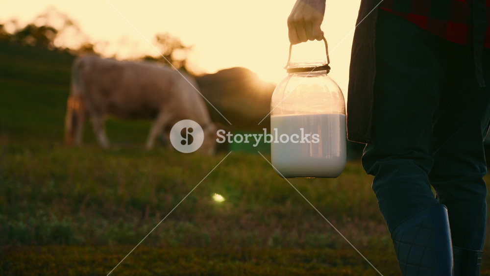 Milkmaid walking on lawn in farmland, carrying fresh milk in bottle, closeup. Professional farm worker or milk production owner, details