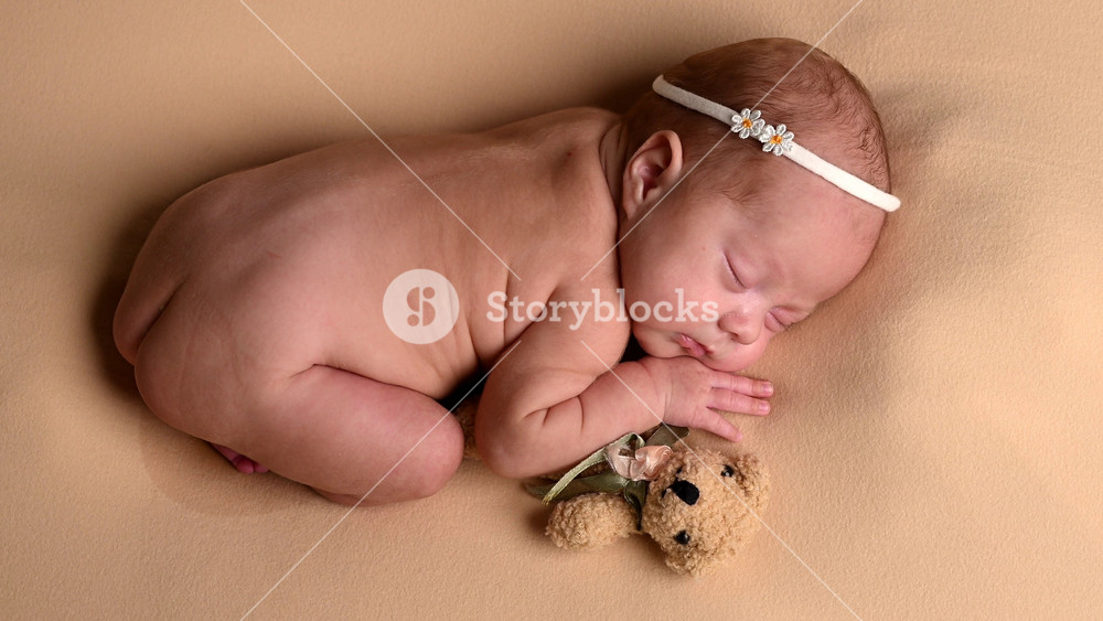 Sleeping newborn cute baby girl or boy during first week of life. Small baby sleep in bed with small bear toy in hand and