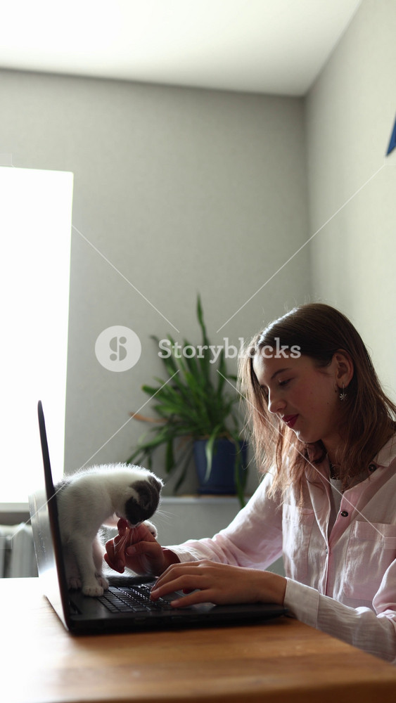 A girl sits at a table with a laptop open in front of her. She tries to type, but a playful kitten keeps reaching out to touch her fingers. They are indoors, and the light comes in from a window.