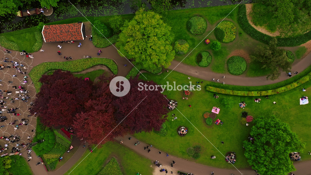 Aerial view of famous Keukenhof windmill. Colorful tulips on sunny day at the Keukenhof flower garden, Lisse, The Netherlands