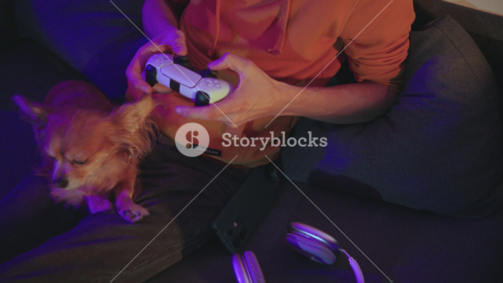 A gamer delights in an immersive and engaging gaming session, with an adorable Chihuahua companion by their side in a cozy dimly lit room