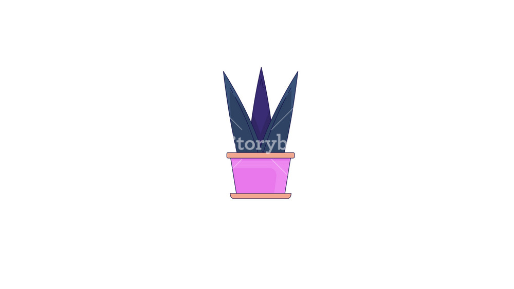 Botanical succulent potted plant line 2D object animation. Sustainable lifestyle flat color cartoon 4K video, alpha channel. Home gardening. Home interior flower animated item on white background