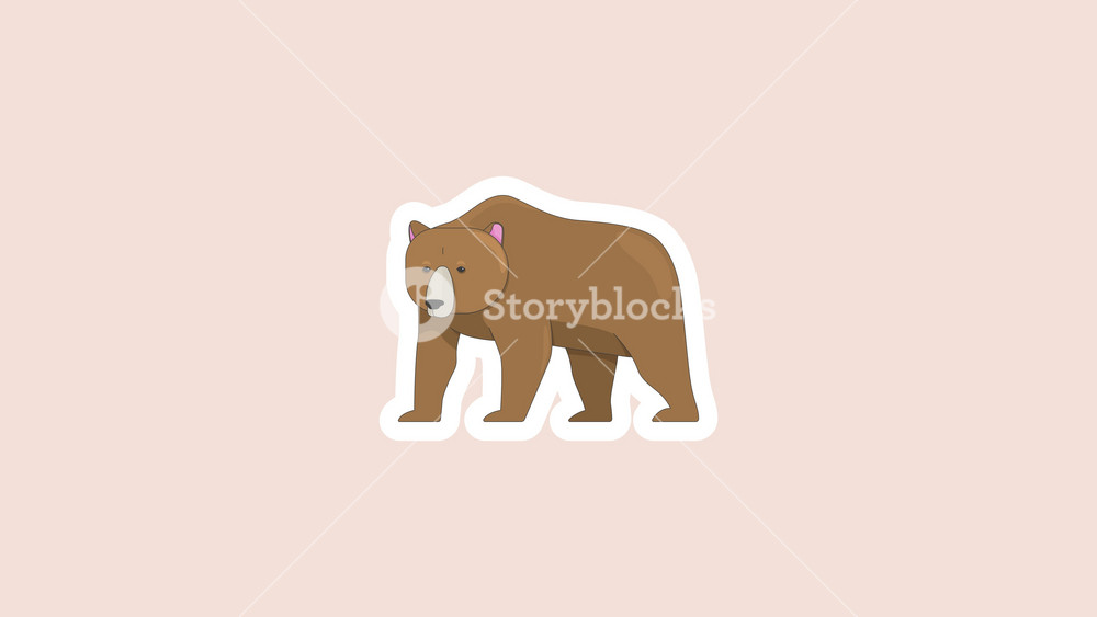 Brown bear wildlife digital sticker animation. Forest mammal. Animal fauna. Woodland grizzly. Isolated animated icon with transparent background. Applying die-cut design. 4K video overlay element