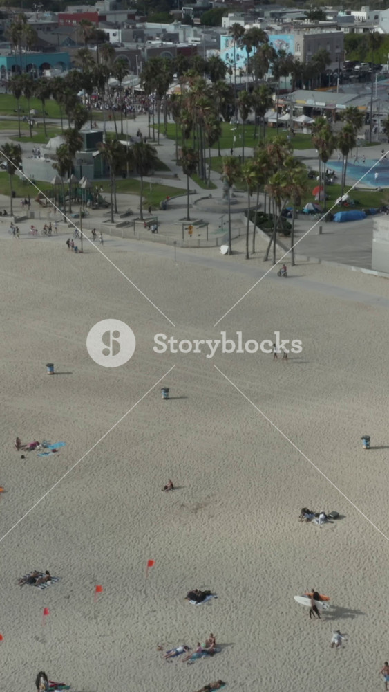 AERIAL: Flight towards Venice Beach skatepark and boardwalk with palm trees and bike lane, Sunny, Los Angeles California