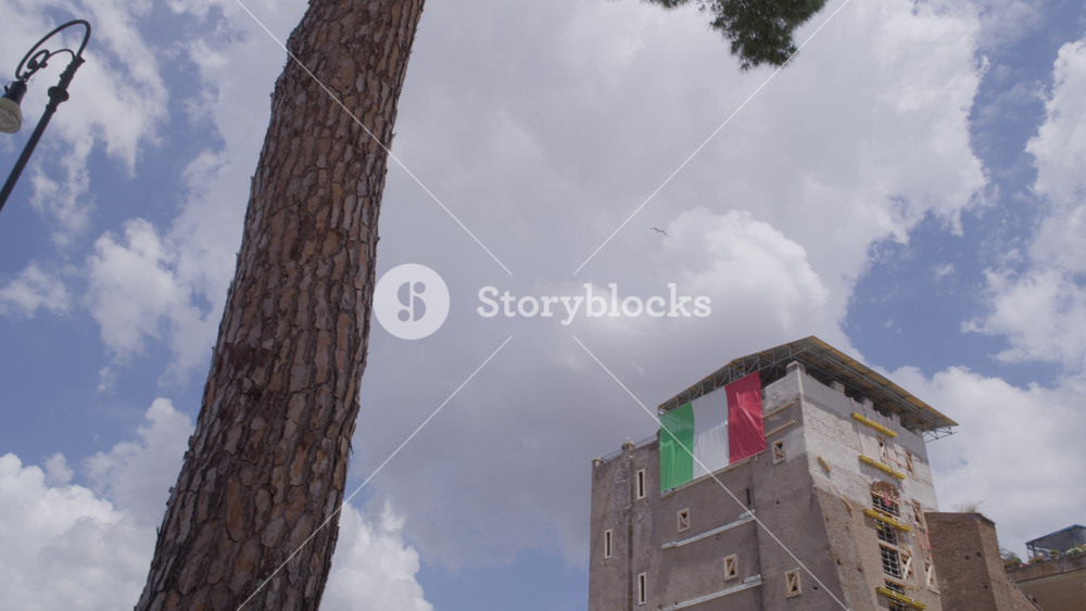 Looking Up at Historic Building and Roman Pine Tree Against Bright Summer Clouds in Rome Italy Urban Travel View Shot with Cinema Camera