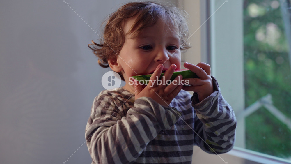 Toddler eating watermelon slice by window at home, healthy childhood nutrition moment highlighting curiosity, wellbeing, natural eating habits and sensory exploration