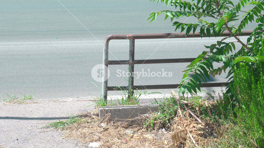 Close up of roadside metal guardrail with small green plants and overgrown weeds beside sunlit asphalt road in urban environment