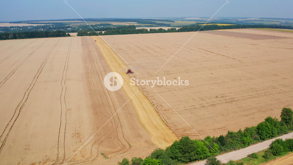 Red powerful modern combine working in the wheat field. Gradual coming closer to the agricultural machinery in the farmland.