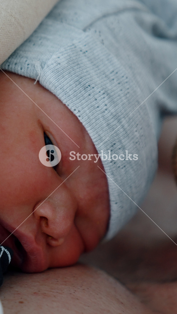 Little face of a Caucasian baby wearing a cap. Newborn lies on the dad's chest and kissed on the head by his father. Close up. Vertical video
