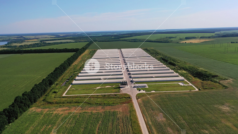 Innovative farm business plant. Neat rows of barns locating in the farmlands. Beautiful nature landscape at the backdrop. Aerial view.