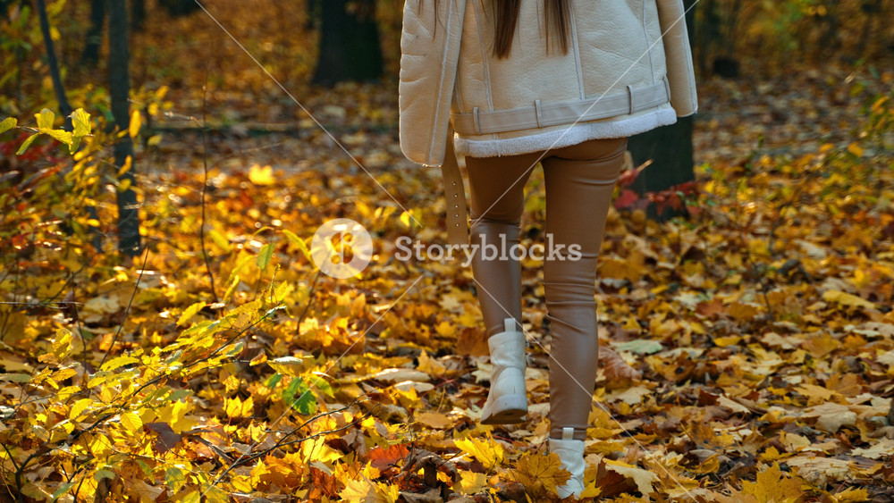 Girl walks away by the beautiful yellow carpet of leaves. Brunette turns around, arranges her hair holding a paper cup in her hand.