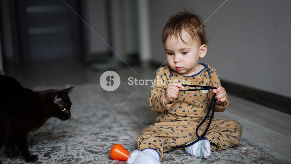 Lovely boy sitting on the carpet at home holding a shoe lace. Black domestic cat jumping near the kid and stops looking at child.