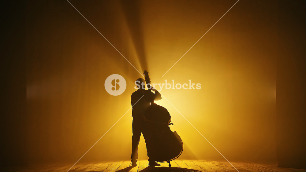 Silhouette of a Musician. The Musician Performs a Piece of Music on the Double The Stage of a Dark Chamber Hall is Filled with Smoke and