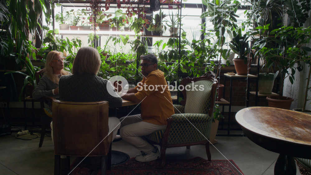 Full shot of three multiethnic mature friends, Caucasian woman, Indian man sitting together in cozy cafe with lush green plants, vintage furniture, engaged in lively conversation, meeting for lunch