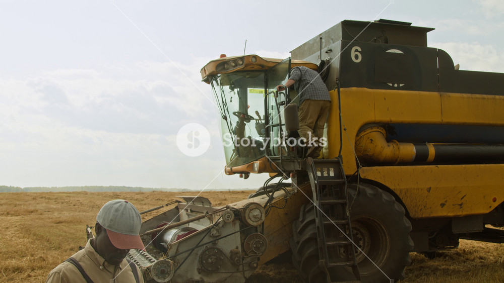 Back view shot of burly mature man as farmer walking in field and climbing into cabin of industrial combine harvester, copy space