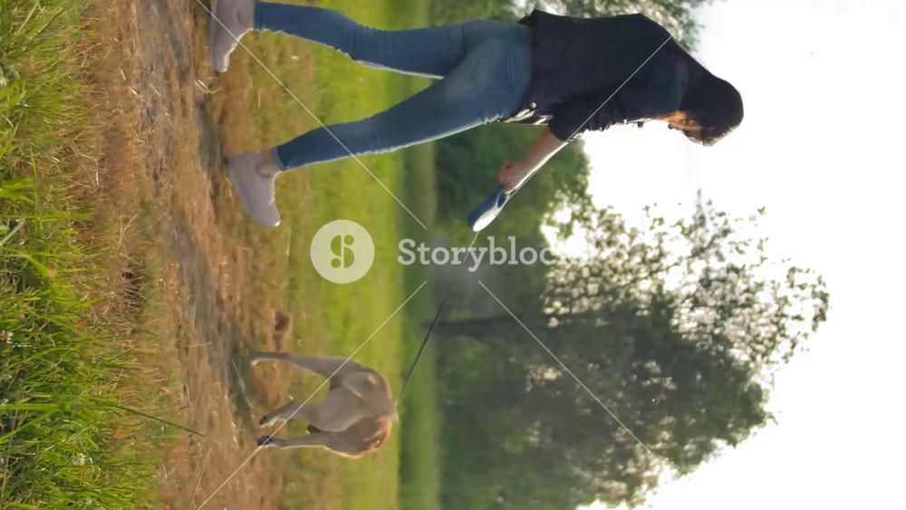 Wide steadicam shot of female with her dog in the park. Sunny summer evening in green park. Back side view of cute woman with her pet. Vertical shot.