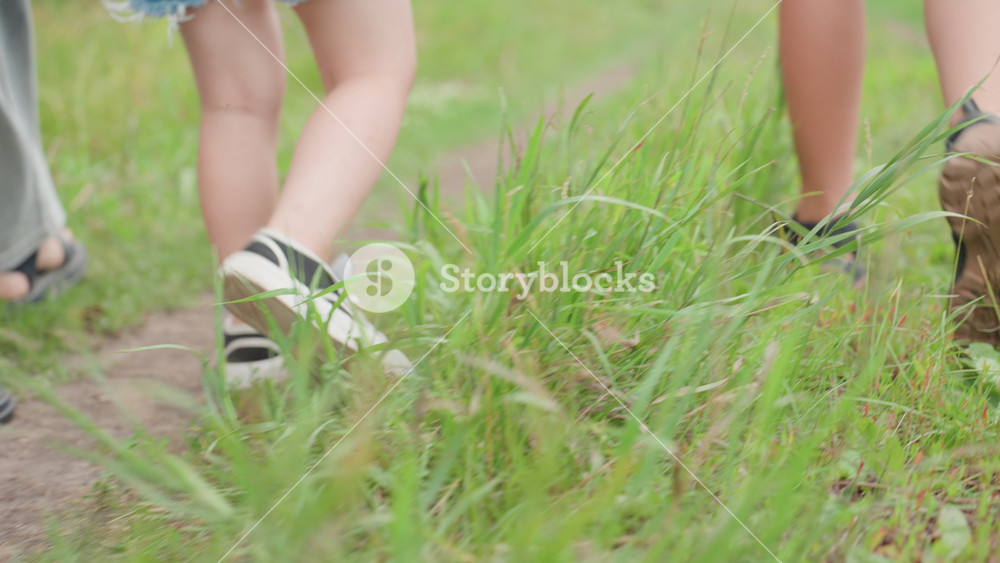 children feet in tall grass group of kids stepping across sunlit meadow with mixed shoes and sandals, wildflowers brushing ankles, energetic