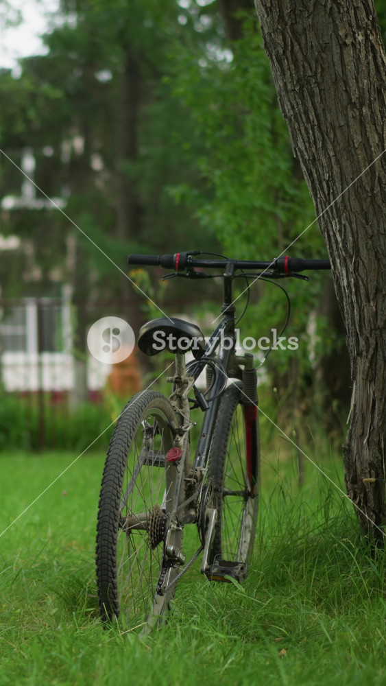 Young boy walks to parked bicycle near tree in grassy field, checks the bicycle, taps the pedal with his shoe, and places his foot on the
