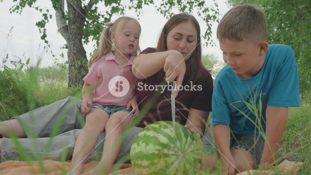caucasian mother and kids with watermelon on picnic blanket under birch, handson harvest and snack moment, mother as home gardener