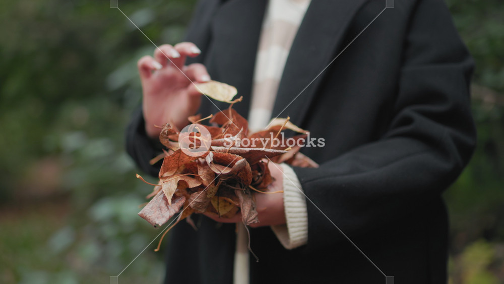 Hand view of carefree girl with hands full of dry autumn leaves, raises single leaf to nose, smiling softly in black coat and striped