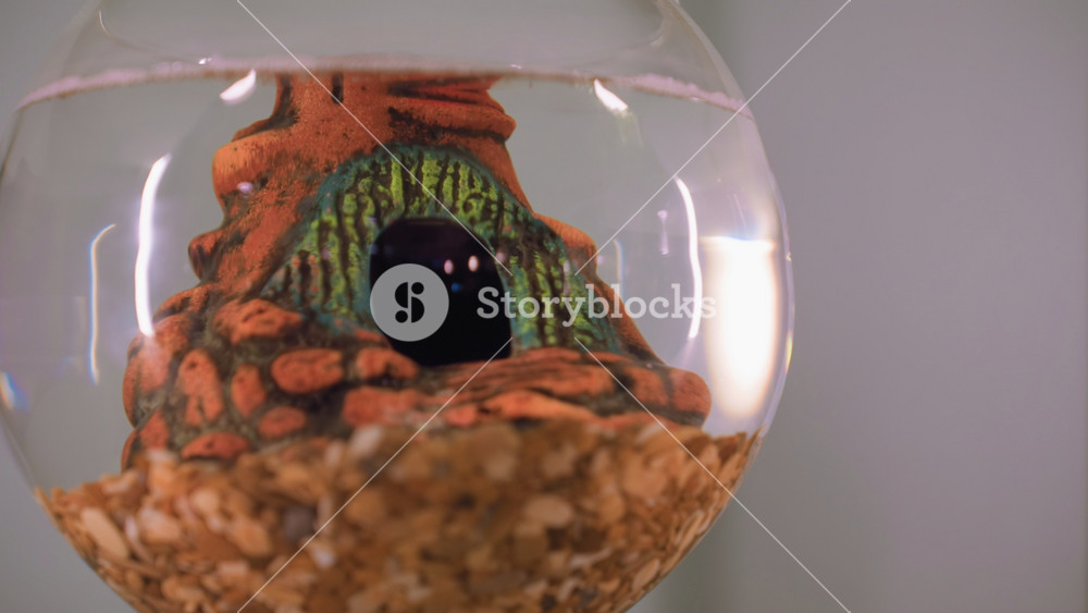 Glass bowl filled with water showcasing closeup view of detailed ornament shaped like eye with surrounding textures and gravel at bottom