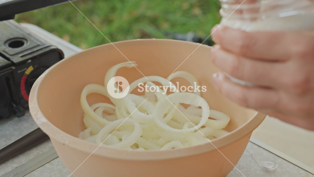 Onion rings prepared. Bowl of saltsprinkled onion rings outdoors. Onion rings with seasoning on camping table near stove. Relaxed scene of