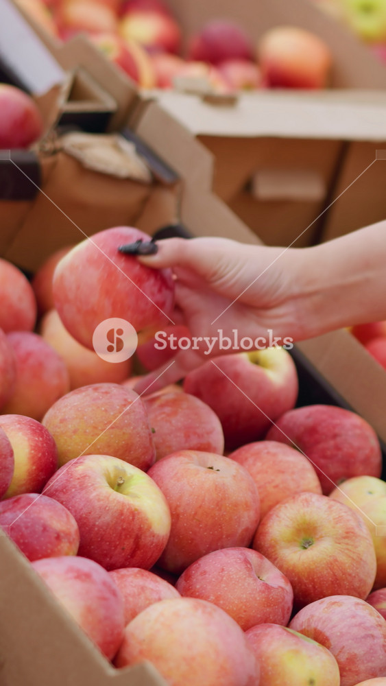 Close-up of woman selecting fresh red apple from a pile of apples in a cardboard box at a grocery store, showcasing hand with black nails