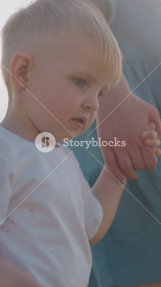 A tender moment in a field, focusing on a young boy holding his mother's hand as they walk together. The mother, wearing a blue gown, has
