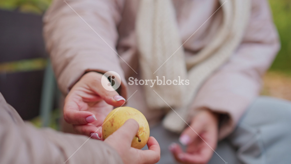 Close up of adult hand reaching into warm winter coat pocket to pull out fruit for child, gesture of care during cold autumn day, soft
