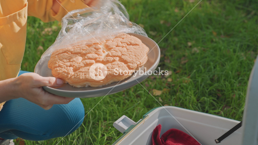 Woman unveils picnic treat outdoors. Woman in casual attire uncovers baked pastry during outdoor leisure time. Relaxed woman dressed in