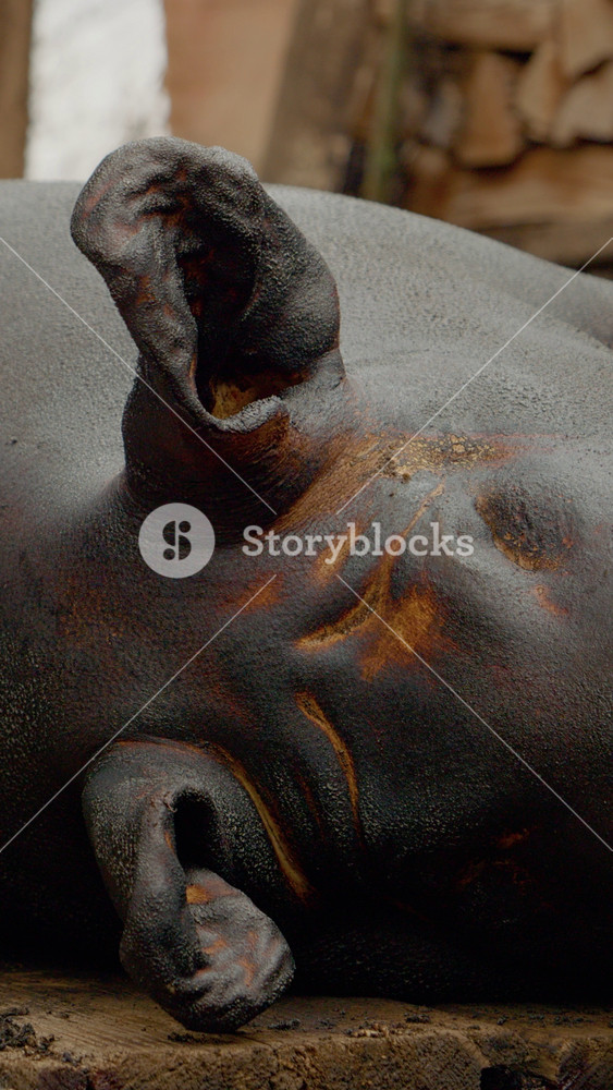 Vertical Screen: This clip showcases the traditional method of slaughtering a domestic pig in a village setting, highlighting the cultural importance of homemade pork.