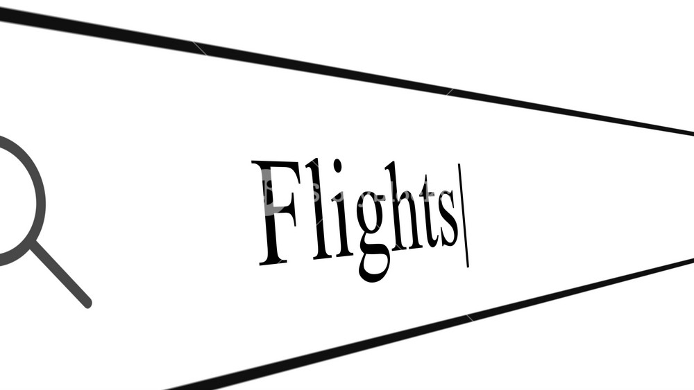 User types the word 'Flights' in the search box to find details about air travel options online. The search bar is closely shown during this action.