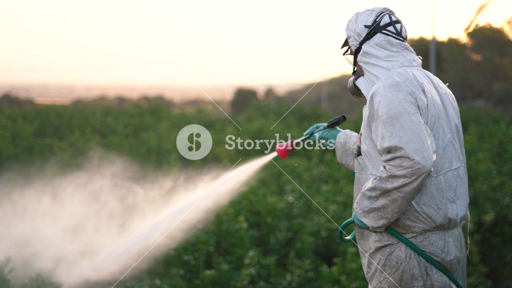 farmworker spraying ecological pesticide. Farmer fumigate spray pests in protective suit and mask lemon trees. Man spraying toxic pesticides, pesticide, insecticides