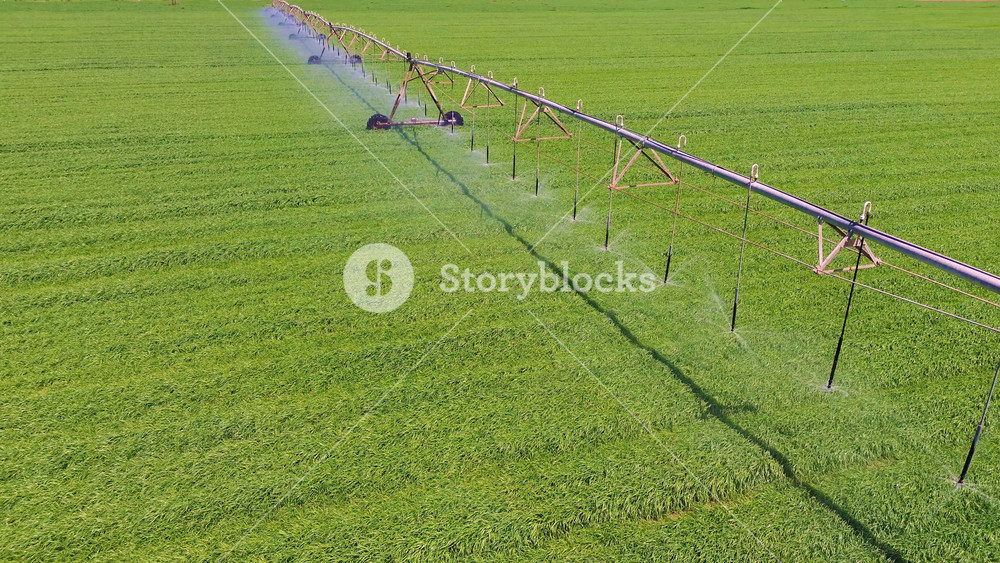Aerial close view of center pivot irrigation system watering green field in Castilla La Mancha, rotating sprinklers and sustainable agriculture concept