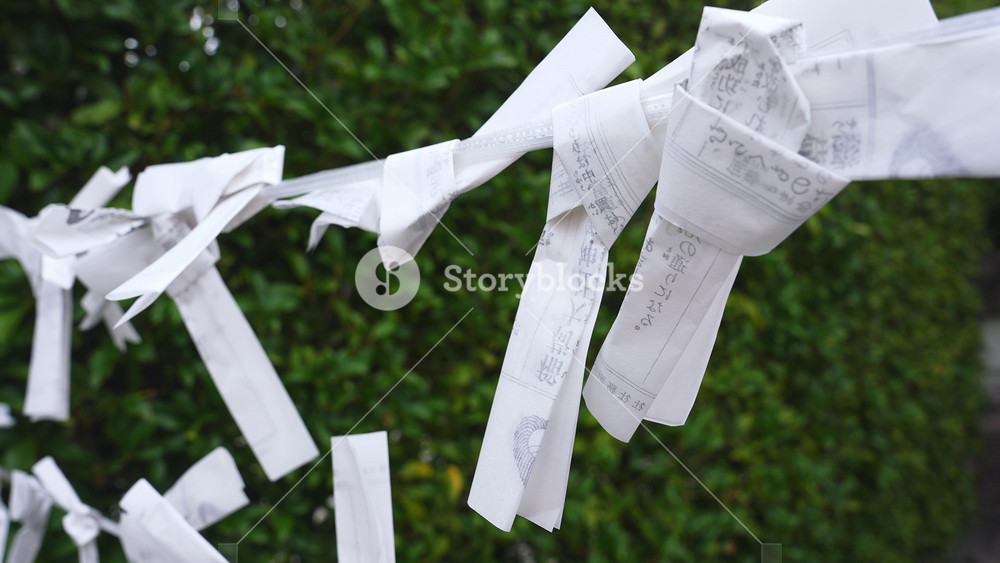 Daytime close up of white omikuji tied on a rope at a Kyoto shrine, faint kanji and seals visible, papers flutter as soft light and shallow depth of field isolate detail