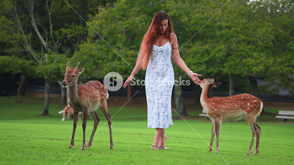 Daytime at Nara Park in Nara, Japan. A woman in a floral sundress pets two Sika deer on a vivid green lawn as more deer, benches, and trees sit softly out of focus.