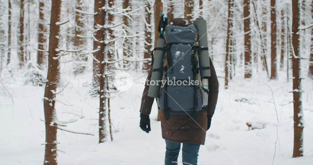 Slowmotion man walking through pine trees in beautiful winter forest. Young male traveler hiker with hiking backpack trekking in snowy woods and enjoys nature. Frozen wonderland. Human and nature