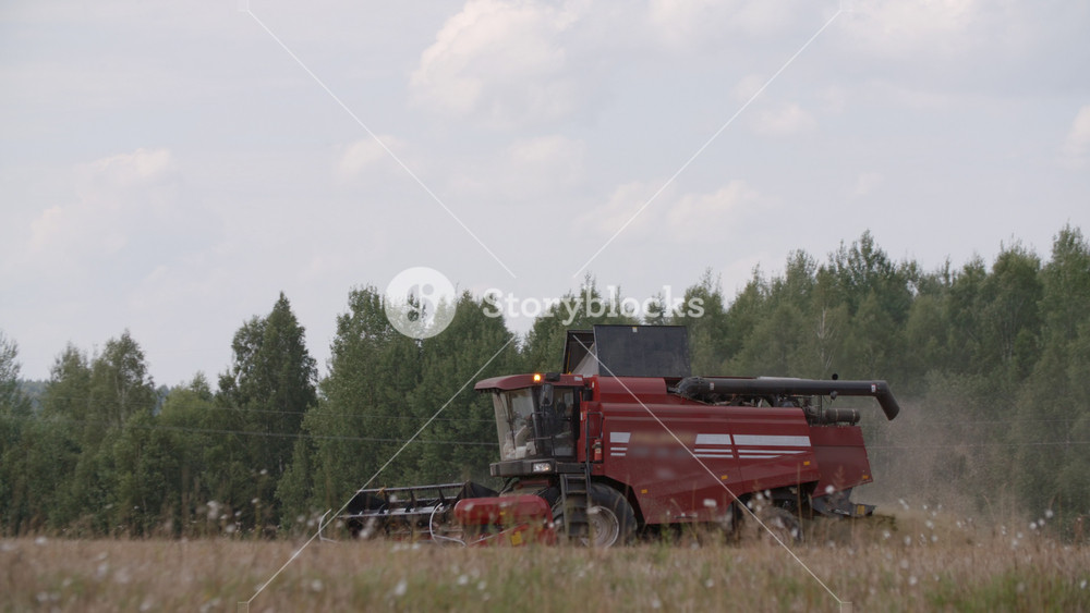 Farmer on harvester machine cuts wheat crop in field. Agriculture food production. Red combine harvesting, collects ripe wheat grains. Slow motion